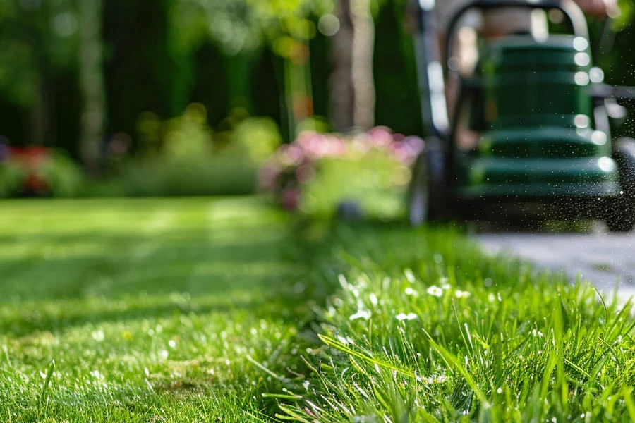 what is the best electric mower